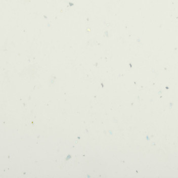 White Star Astro GLOSS 350mm x 18mm x 3.6m Universal Panel